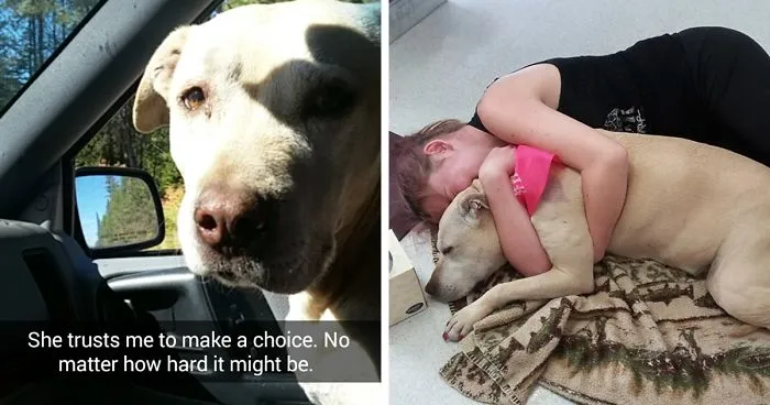 This Woman's Snapchats Of Last Day With Dying Dog Will Make You Cry