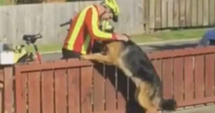 Hidden Cam Records Postman's Heartwarming Daily Routine With Misunderstood Dog