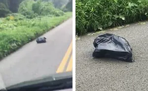 Woman Sees A Moving Garbage Bag On The Road, Stops Her Car To Save It