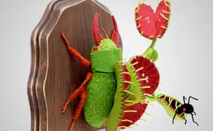 My Flora Insecta Series For Flora At Land Exhibition