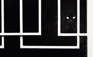 The Mysterious Lives Of Cats Captured In Black & White