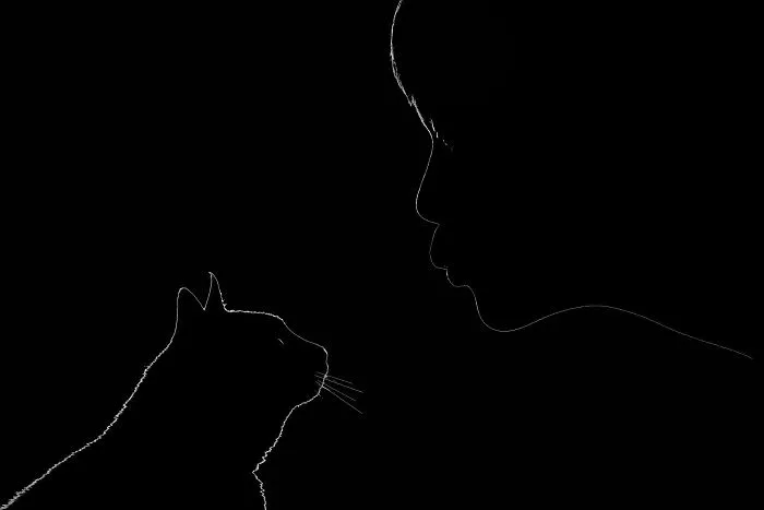 The Mysterious Lives Of Cats Captured In Black & White