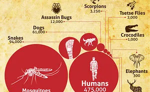 The Deadliest Animals In Your State Aren't What You Think