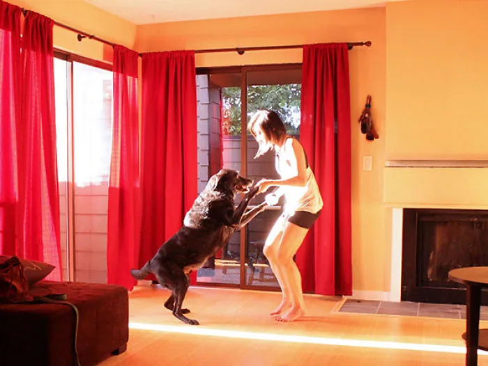 Recently Adopted An 11-Year-Old Dog And Just Discovered That He Can Dance