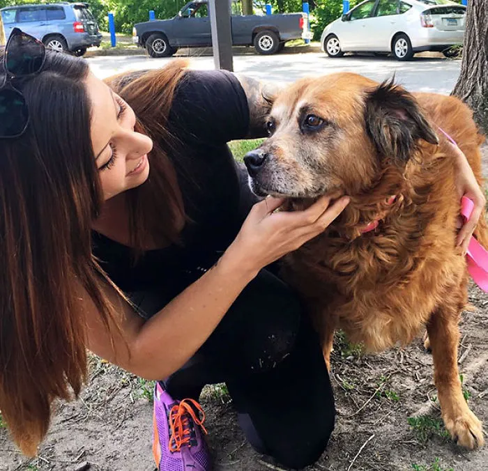 At 14 Years Old Bear Stayed At Her 76-Year-Old Owner’s Side For Days  After The Man Passed Away. No One Could Take Her In So She Was Turned To The Shelter And Happily Adopted After Several Days By Her New Mommy