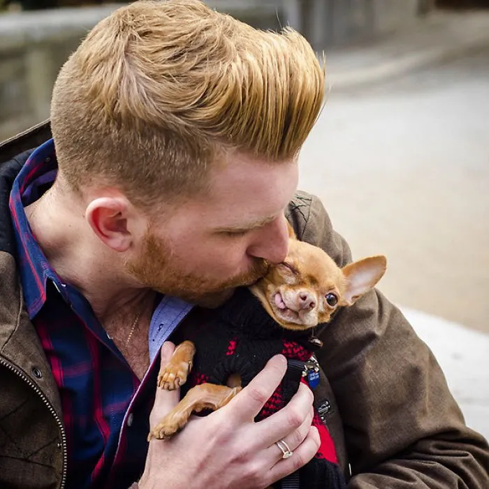 Derpy-Looking Senior Dog With No Teeth Was Adopted By A Young New York Couple And Has More Than 30,000 Instagram Followers