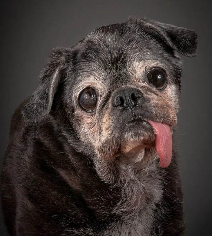 Benjamin Spent 1,5 Years In A Shelter But Finally Found Home At The Age Of 14