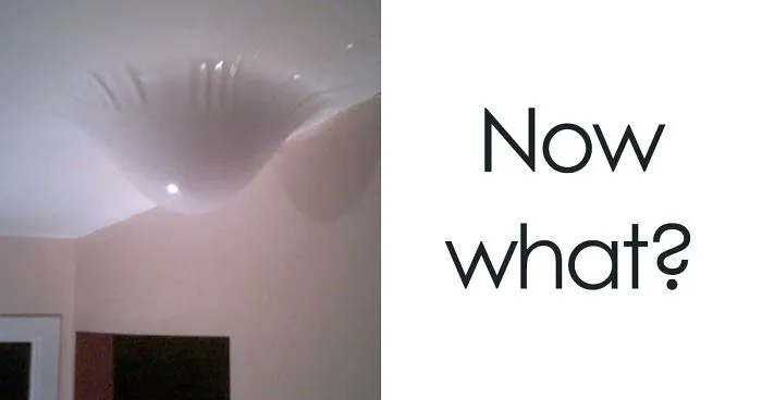 237 People Who Are Having A Worse Day Than You