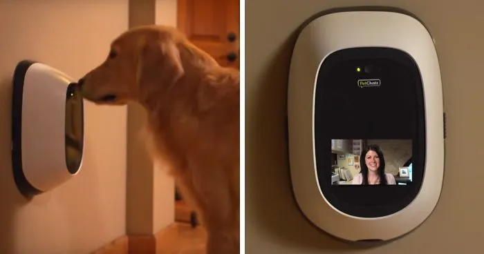This Device Lets You Video Chat With Your Pet While You're Away