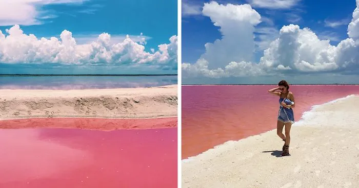 Naturally Pink Lagoon in Mexico Is The Most Instagram-Worthy Place To Be