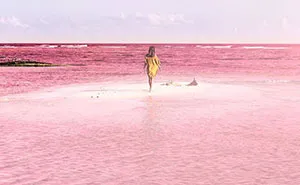 Naturally Pink Lagoon in Mexico Is The Most Instagram-Worthy Place To Be
