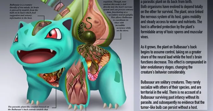 Detailed Illustrations Reveal The Anatomies Of Pokémon