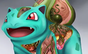 Detailed Illustrations Reveal The Anatomies Of Pokémon