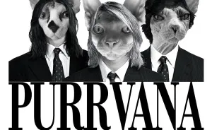 I Photoshop Sphynx Cats Into Pop Culture Art