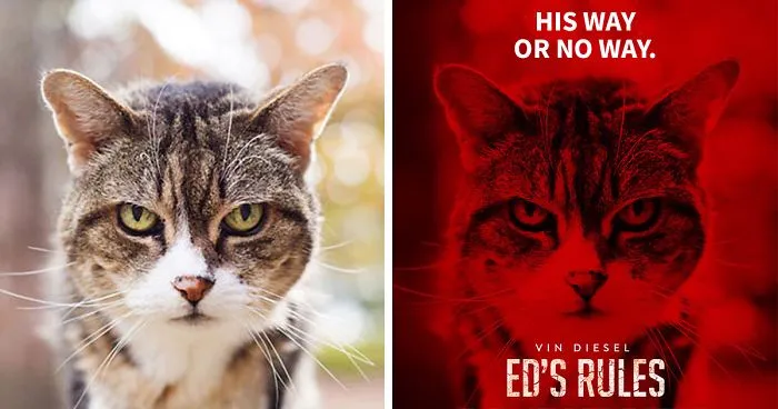 This Guy Is Turning Random People’s Photos Into Movie Posters (62 New Pics)