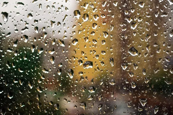 I Wrote A Children's Book After Listening To The Rain