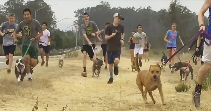 Shelter Dogs Get Invited On A Morning Run With Students, Can't Hold Their Excitement