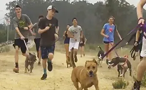Shelter Dogs Get Invited On A Morning Run With Students, Can't Hold Their Excitement