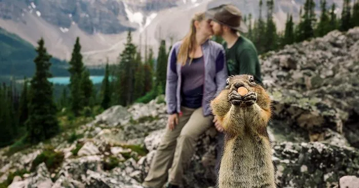 A Squirrel Photobombed Engagement Photoshoot In The Most Adorable Way Ever