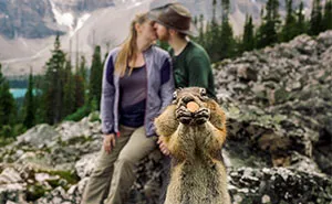 A Squirrel Photobombed Engagement Photoshoot In The Most Adorable Way Ever