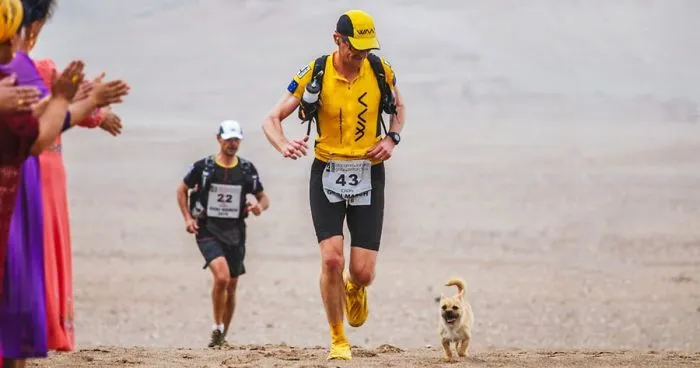 Stray Dog Joins 155-Mile Race, Finishes It With A New Dad