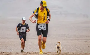 Stray Dog Joins 155-Mile Race, Finishes It With A New Dad