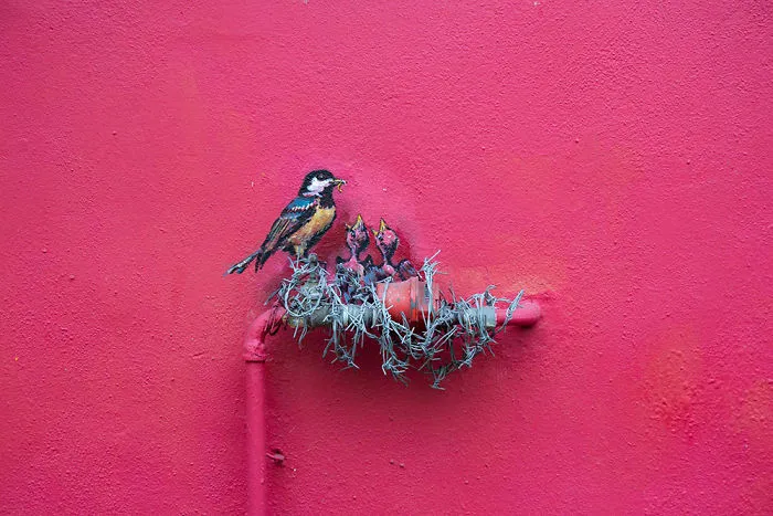Artist Connects Arts With The Real World, See What Happens Next