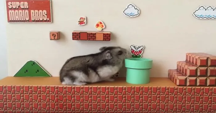 Super Hamster Bros.