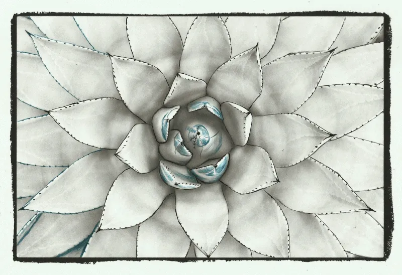 5+ Animated Gifs Of The Grayscale Coloring Process