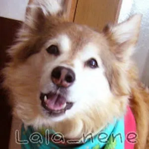 Lala_nene