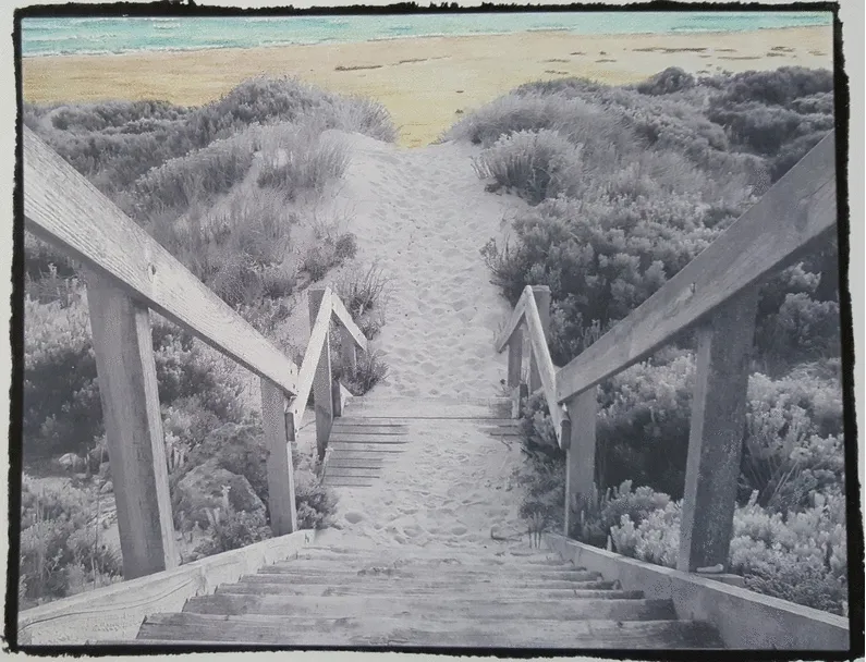 5+ Animated Gifs Of The Grayscale Coloring Process
