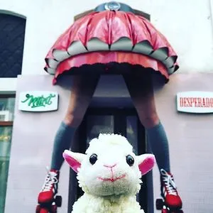 Felip the Sheep