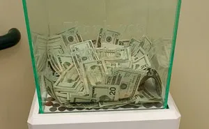 Anonymous Person Just Put $8,000 into This Animal Shelter's Donation Box