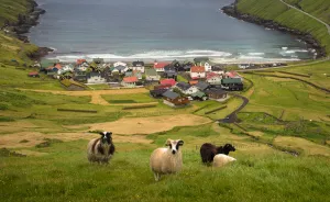 How I Discovered Paradise Called Faroe Islands