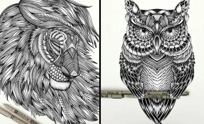 Artist Uses The Zentangle Style To Detail Animal Drawings