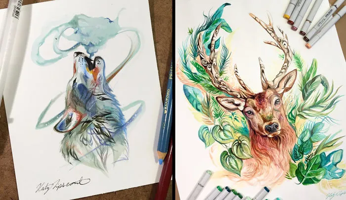 Colourful Drawings And Illustrations