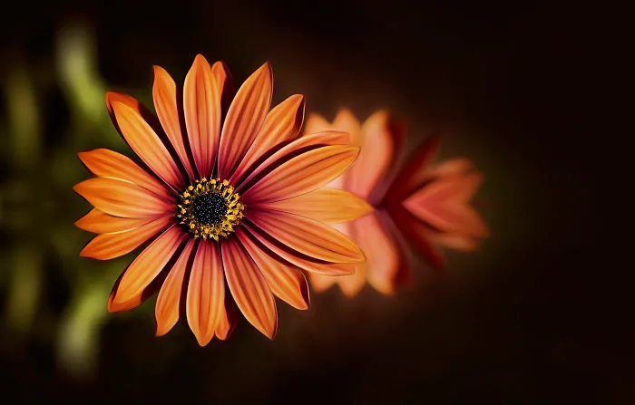 I Document The Beauty Of Small Things