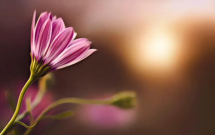 I Document The Beauty Of Small Things