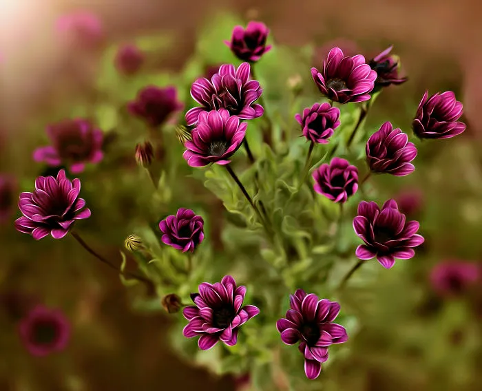 I Document The Beauty Of Small Things