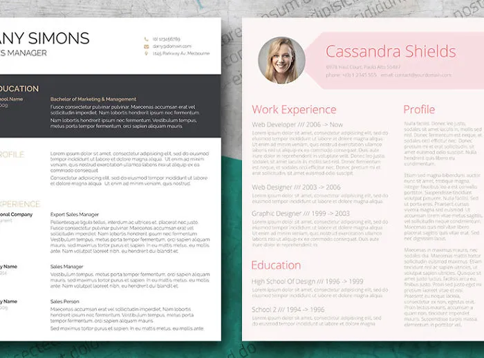 10 Eye Catching Free Resume Templates To Grab An Employer’s Attention