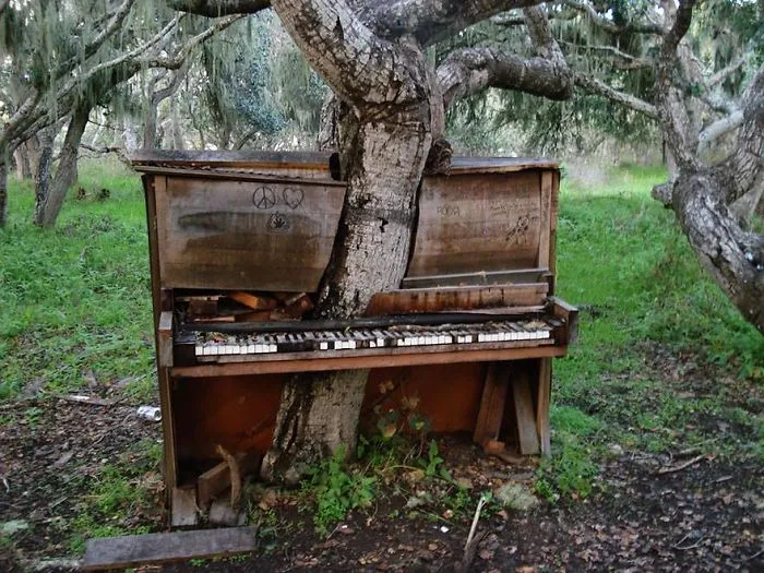 Time Has No Mercy - Amazing Photo Session Showing The Transience.