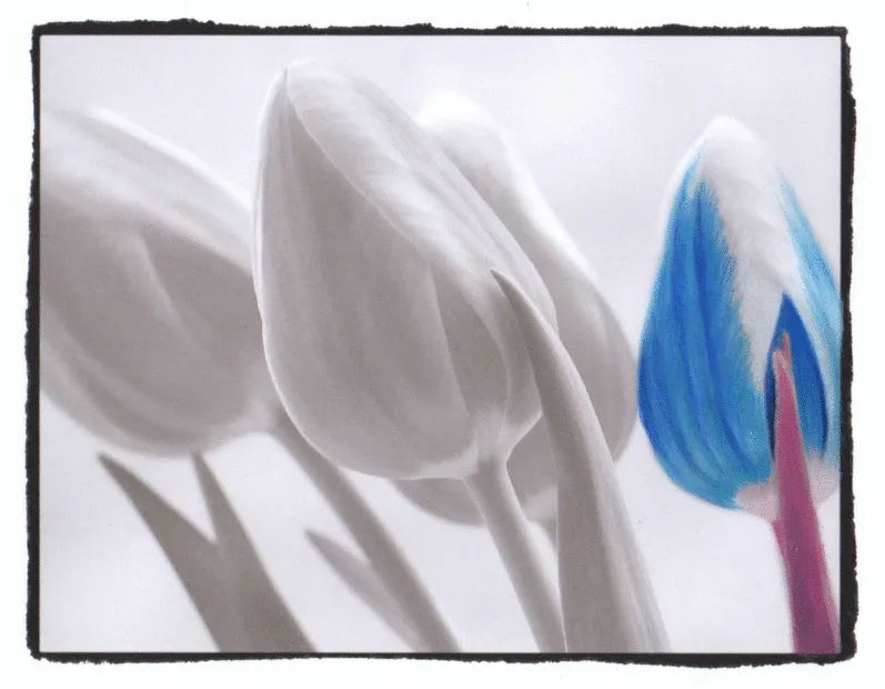 5+ Animated Gifs Of The Grayscale Coloring Process