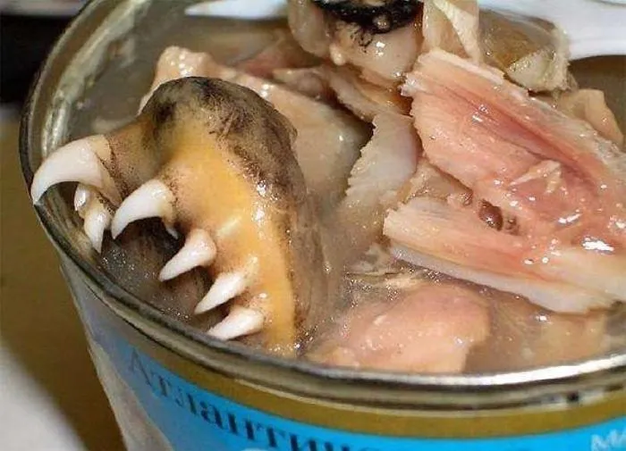 Food Only For The Brave - You Dare To Try ?