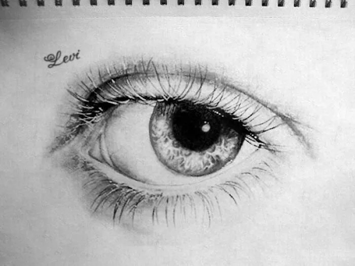 Levan Bolkvadze Art. Talented Artist From Georgia
Levi's Art