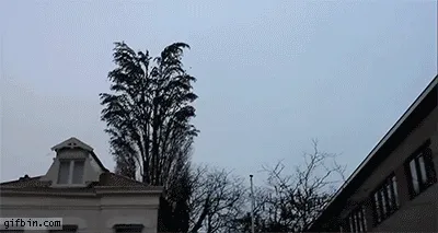 Wow!!!