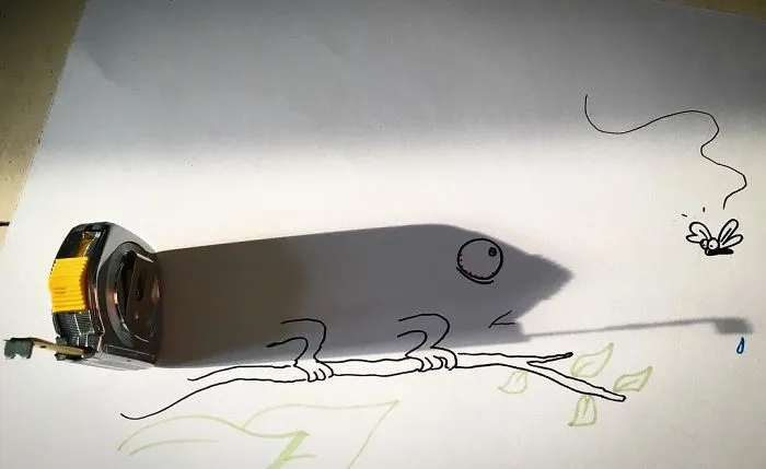 Food Measurements On The Fly