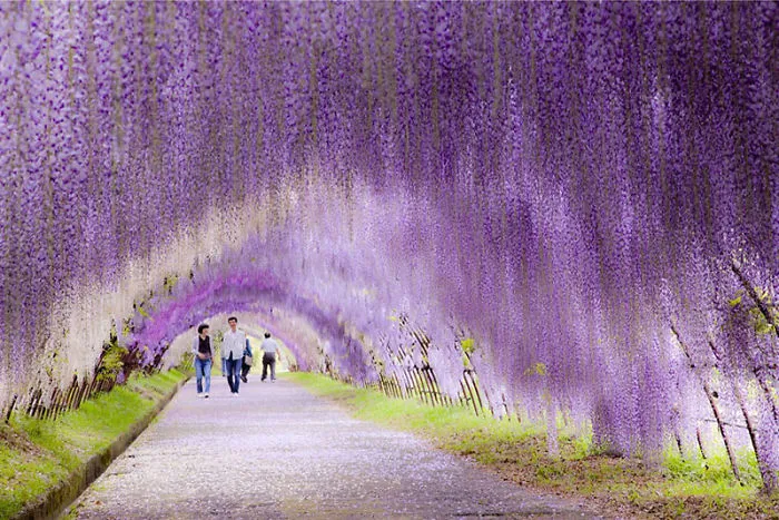 20 Unbelievable Places On Earth To Visit Before You Die