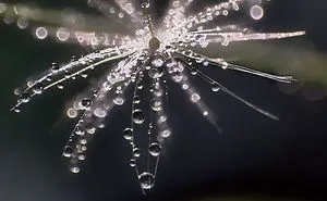 Something ...