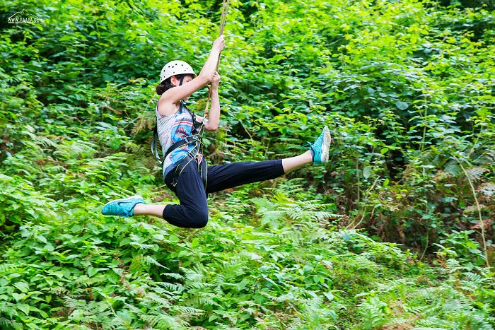 Zipline At Mtirala National Park