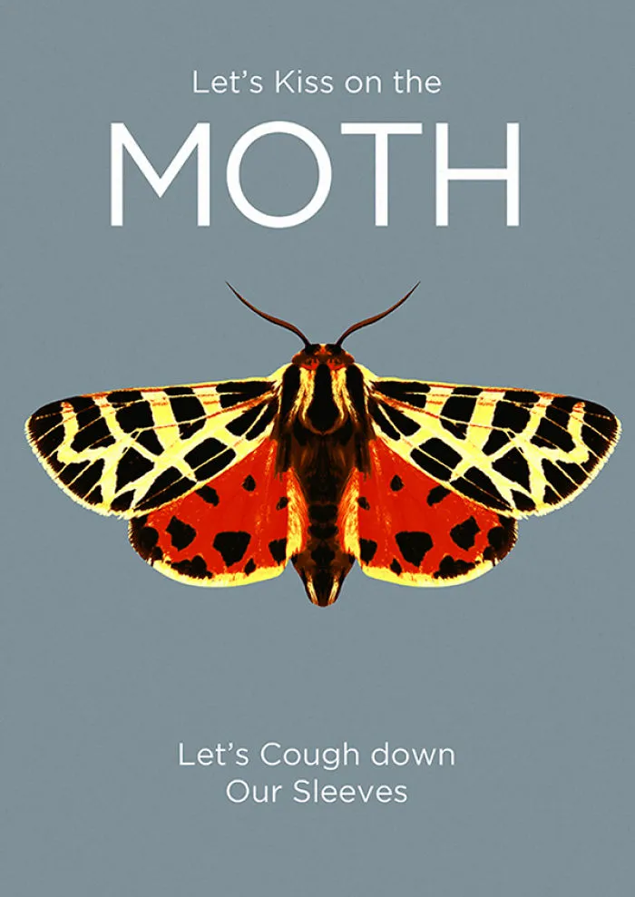 I Created Animal Pun Greeting Cards